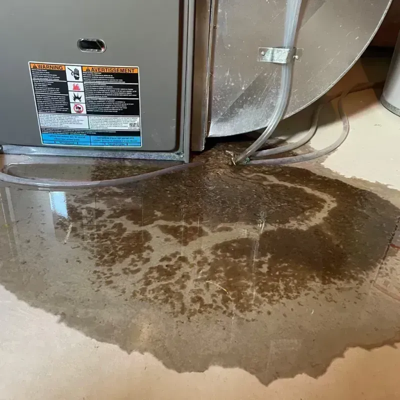 Appliance Leak Cleanup in Gunnison County, CO